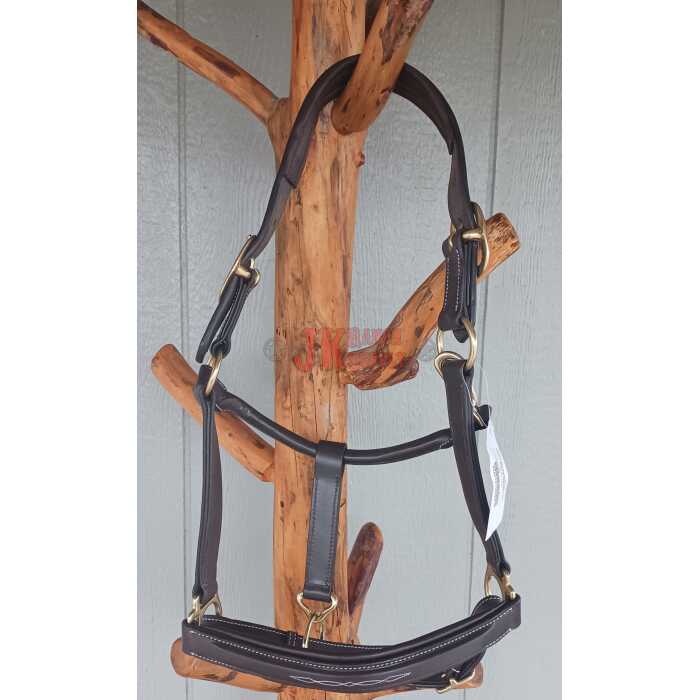 Leather Halter Padded and Stitched - Image 1